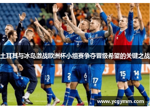 土耳其与冰岛激战欧洲杯小组赛争夺晋级希望的关键之战